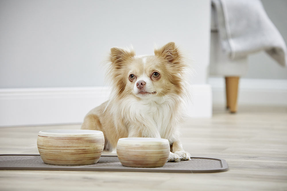  WOLTERS cat & dog GmbH