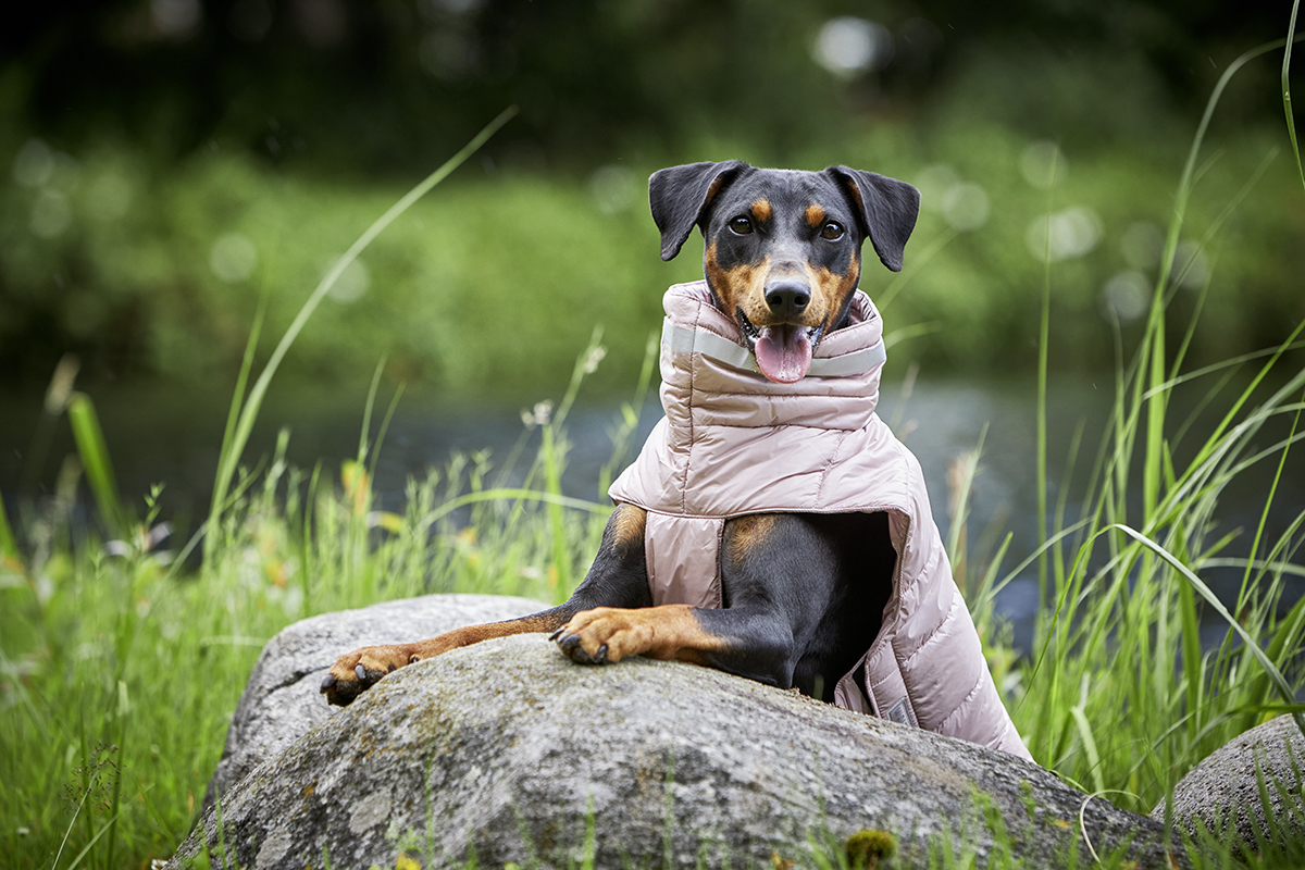 Steppjacke Cosy
