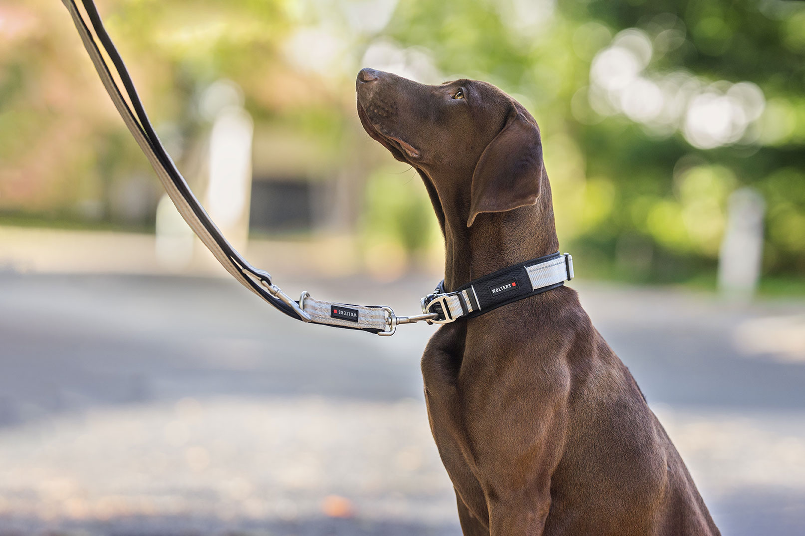 Active Pro Halsband WOLTERS cat & dog GmbH