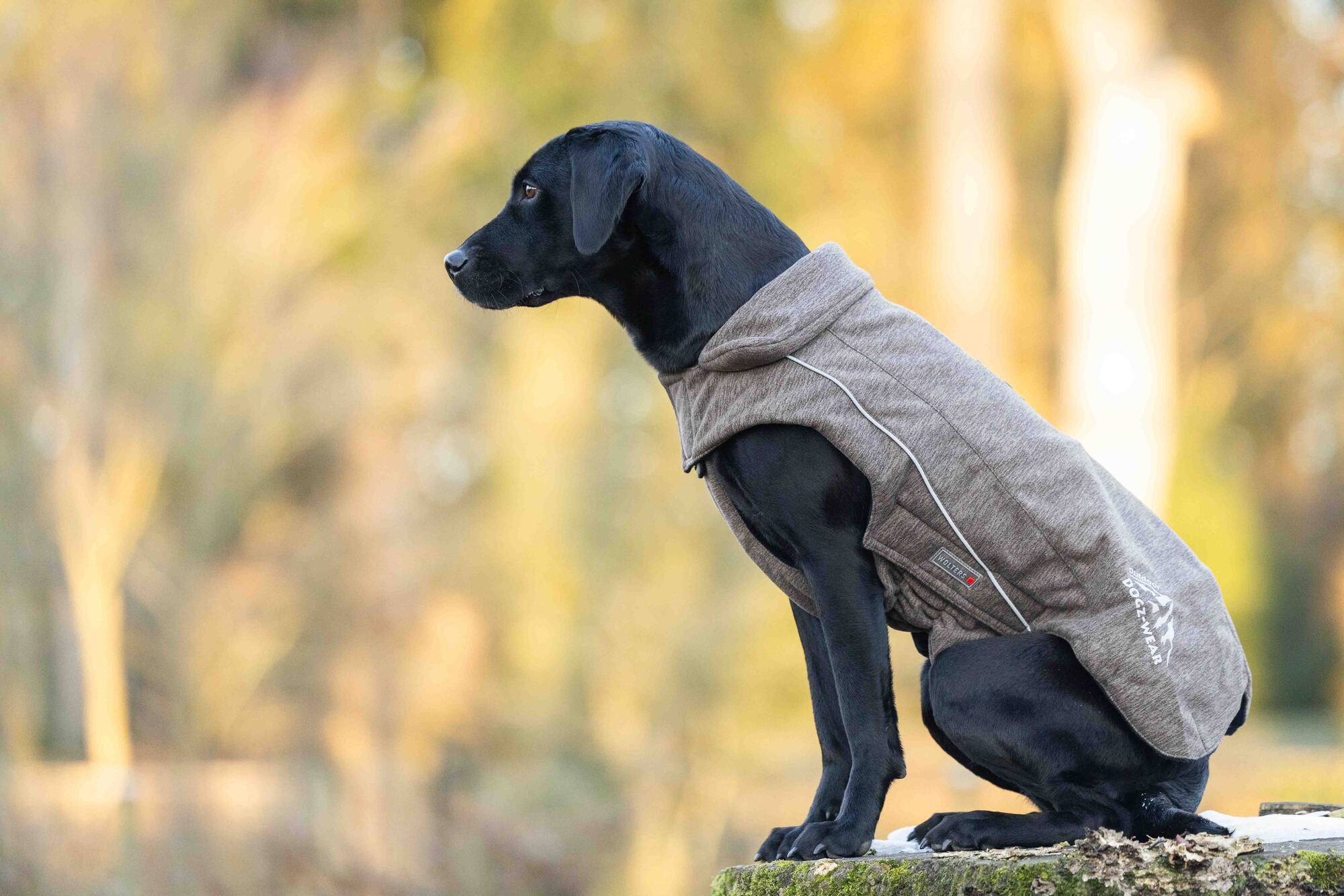 Fleece Jacket Dogz-Wear