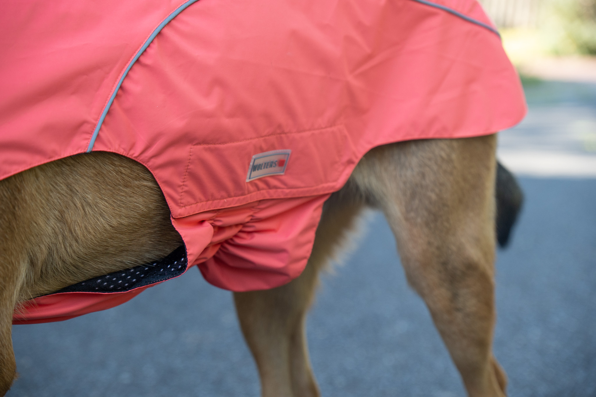 Easy Rain Raincoat