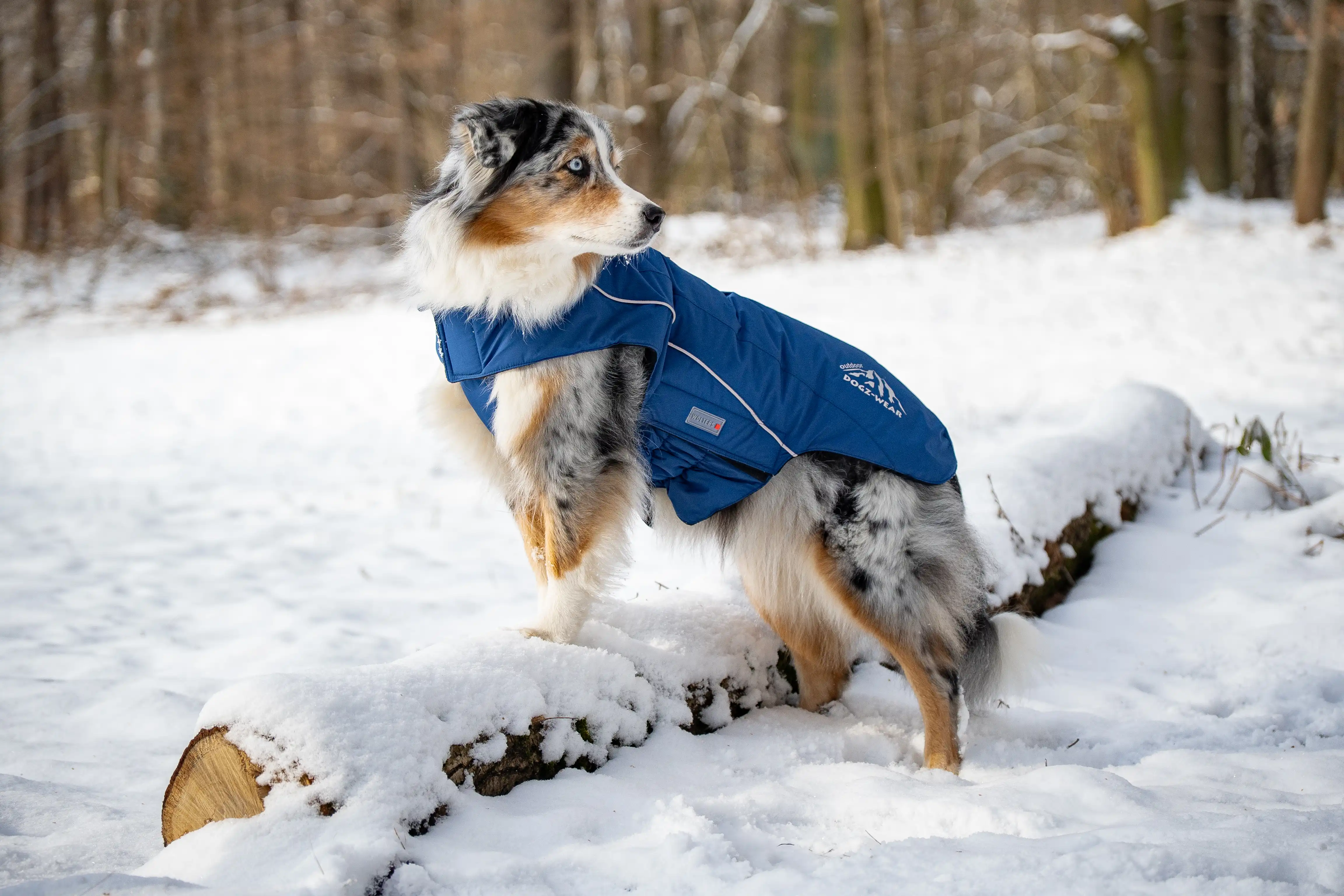 Skijacke Dogz-Wear