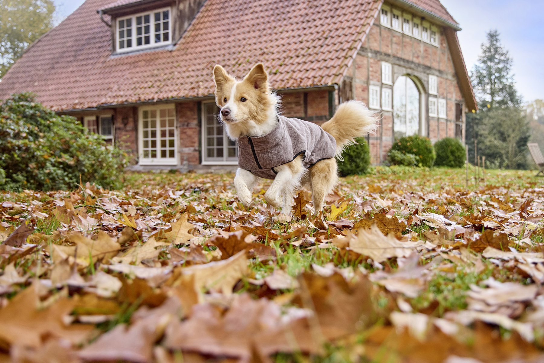Casual Fleece Jacket