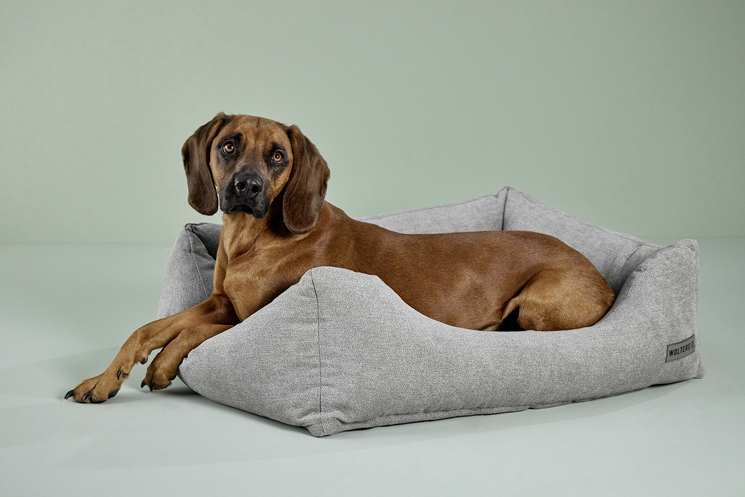 Classic Dog Lounge Bed