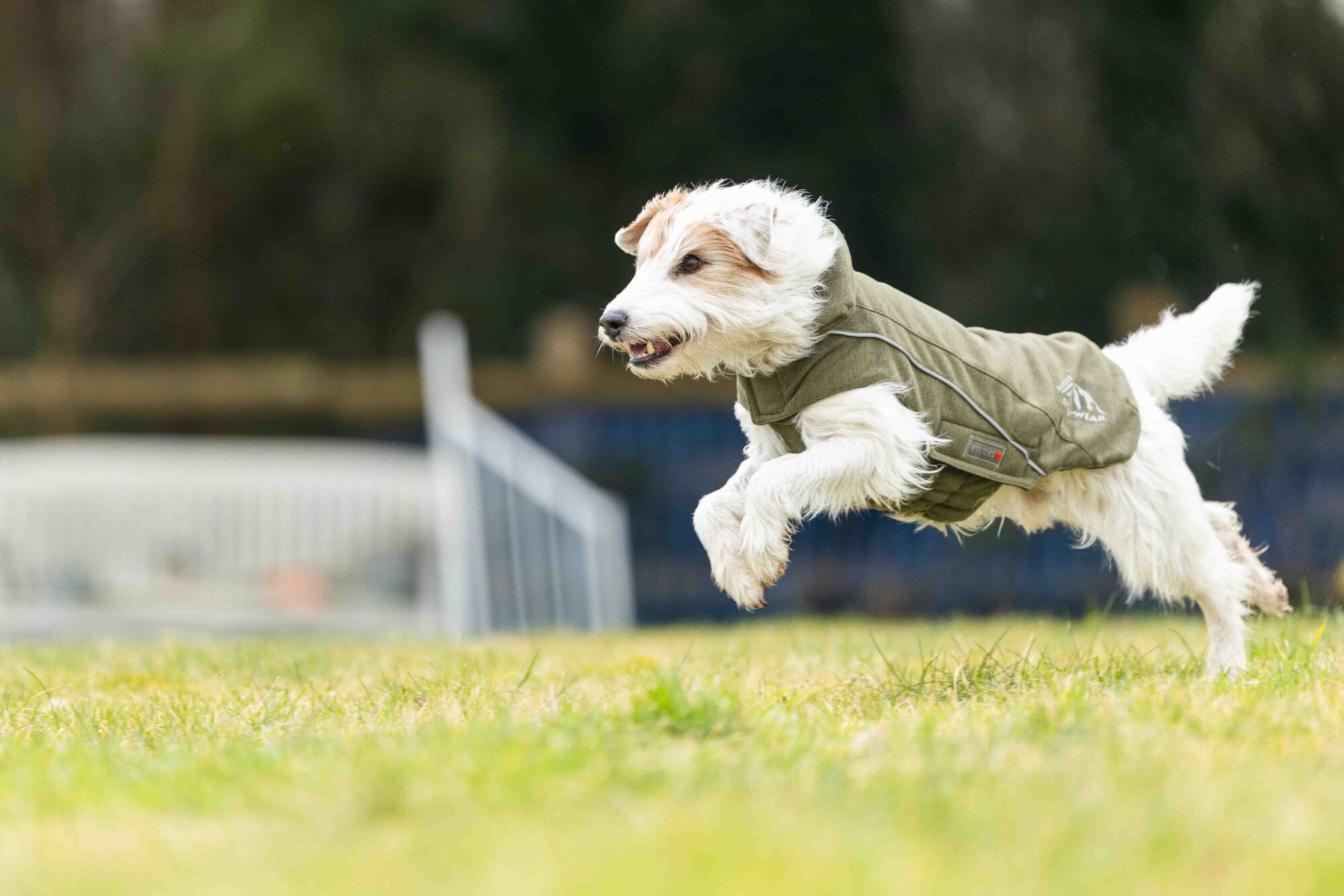 Fleece Jacket Dogz-Wear