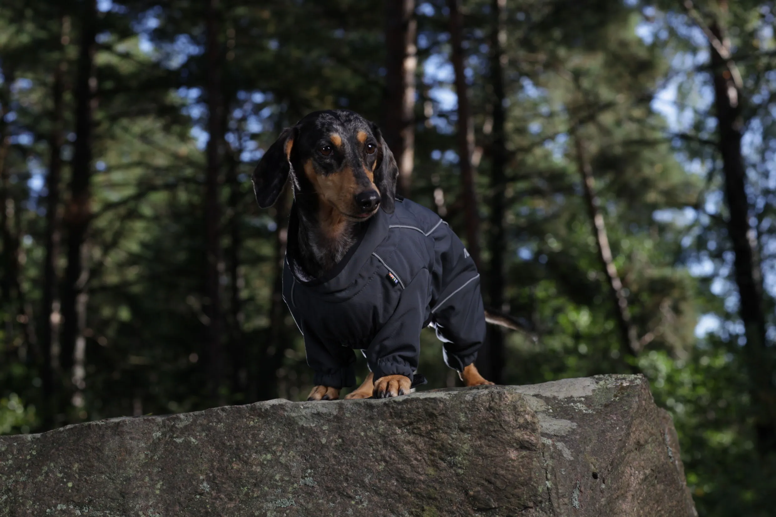 RUKKA Pets Thermo Overall 2.0