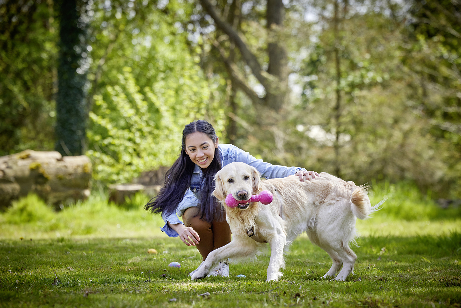 Dog Fun Gym