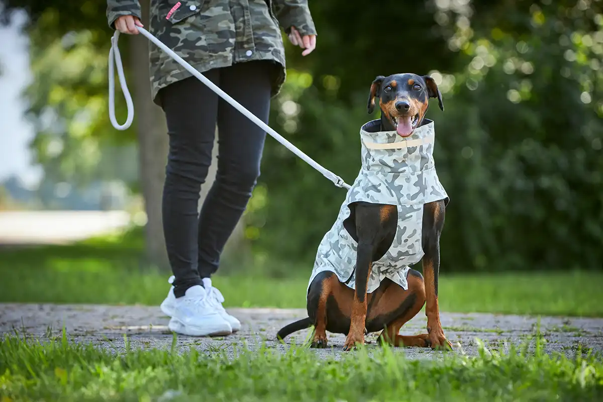 Outdoor Jacket Camouflage