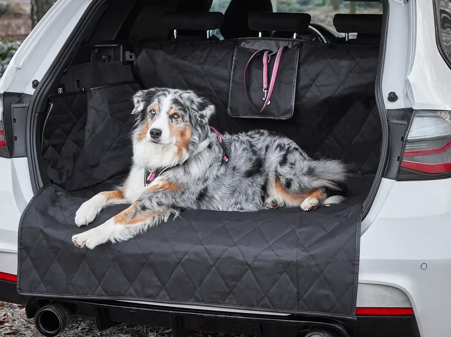 Clean Car Pet Cargo Cover