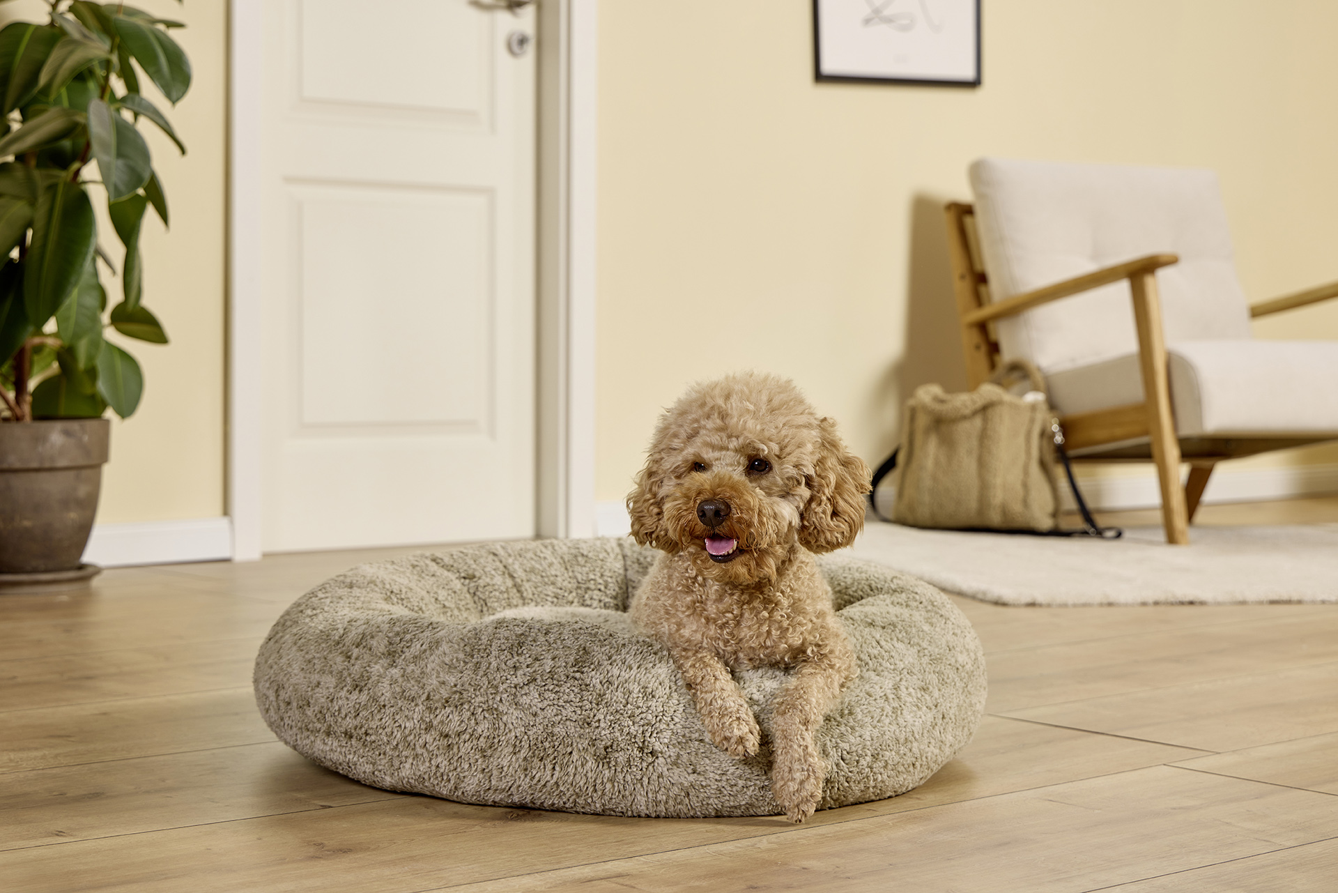 Sweet Dreams dog basket