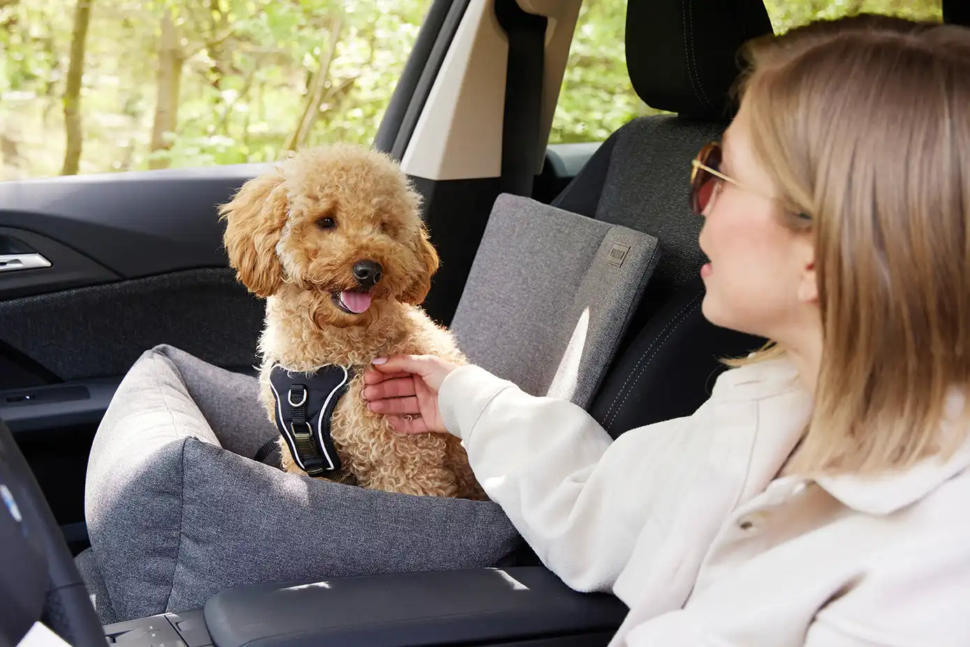 Dog Traveling Car Seat