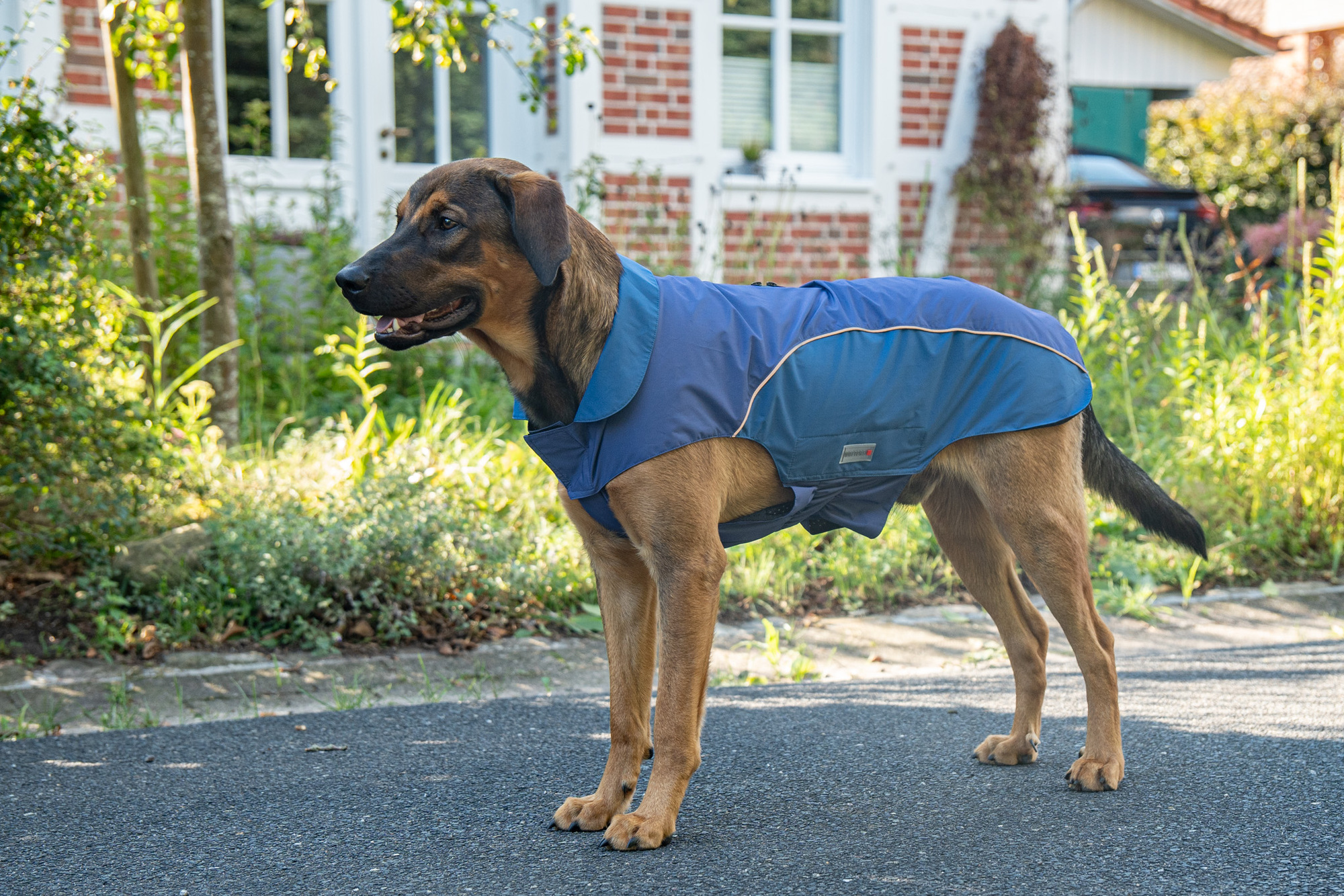 Rain Jacket Easy Rain