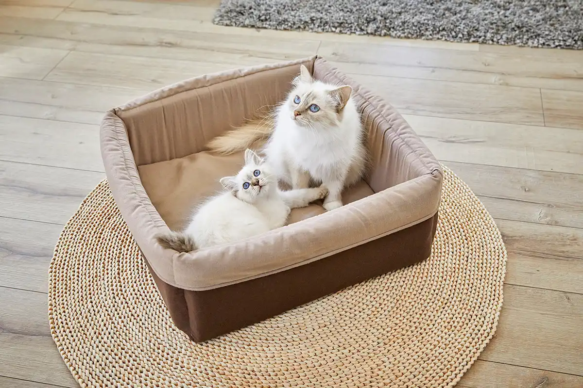 Eco-Well Hunde & Katzenbett quadratisch