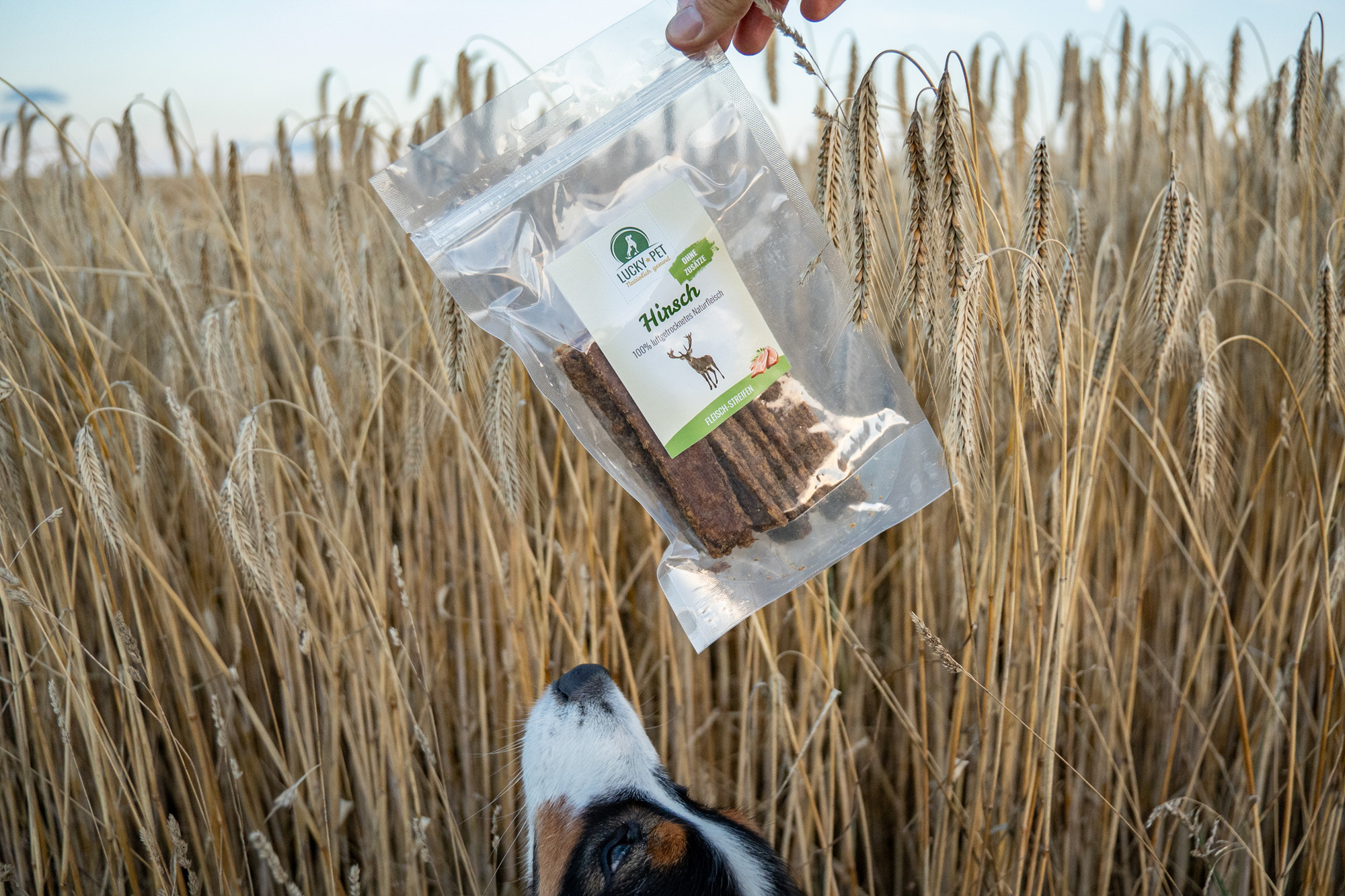 Lucky-Pet Natur Fleischstreifen – Hirsch WOLTERS cat & dog GmbH