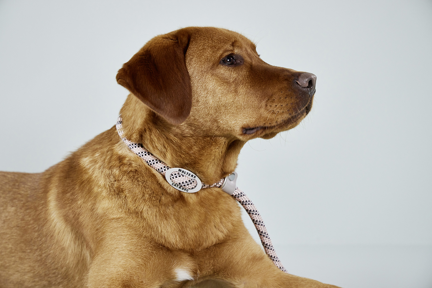 Everest-Tauprogramm Moxonleine WOLTERS cat & dog GmbH
