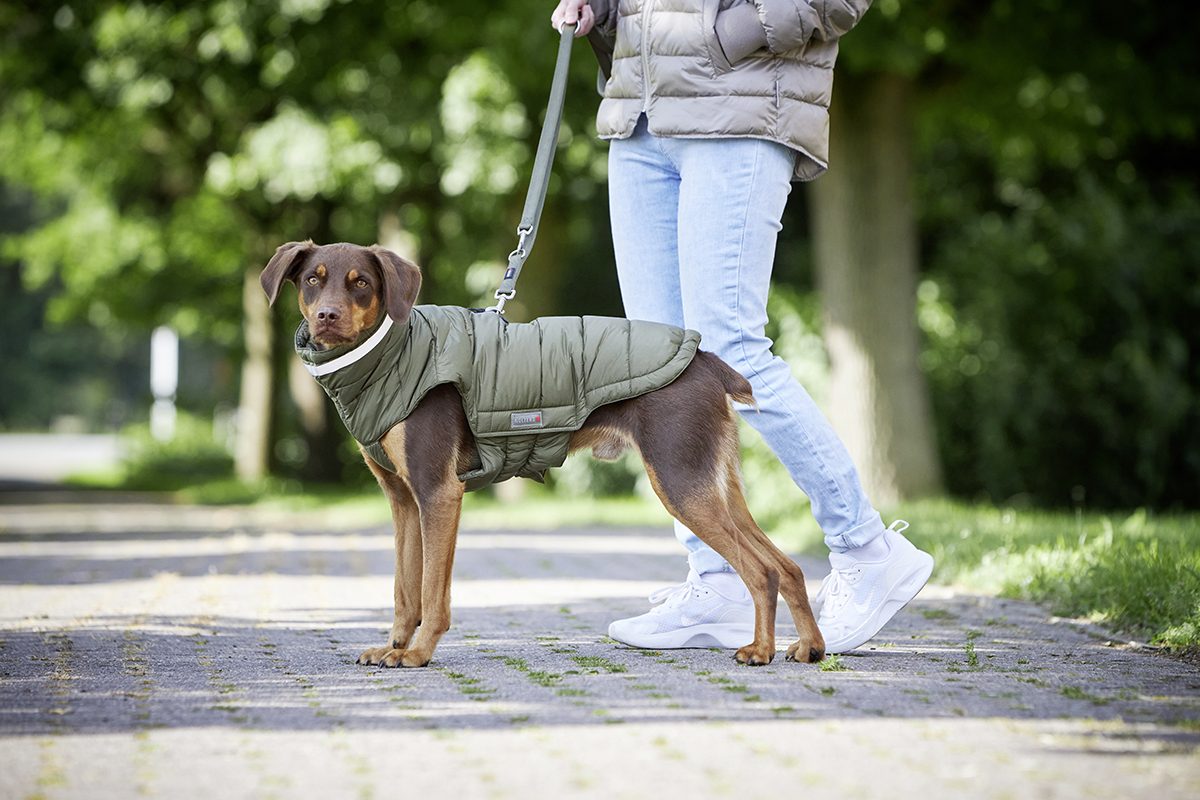 Steppjacke Cosy