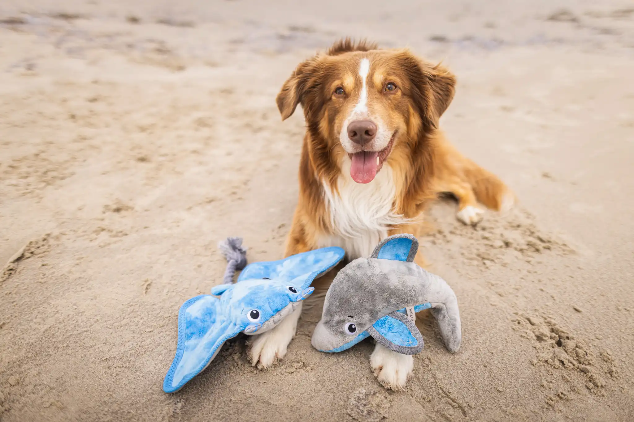 Ocean Range Plush Toys