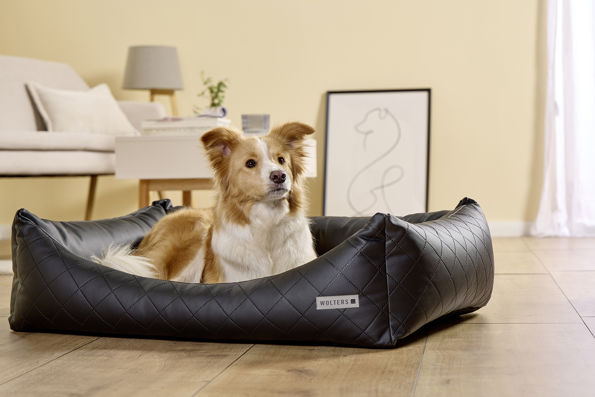 Ortho Care Dog Lounge Bed