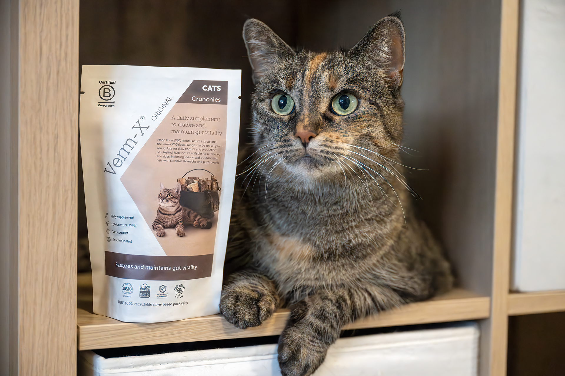 Tierbedarf WOLTERS cat & dog GmbH