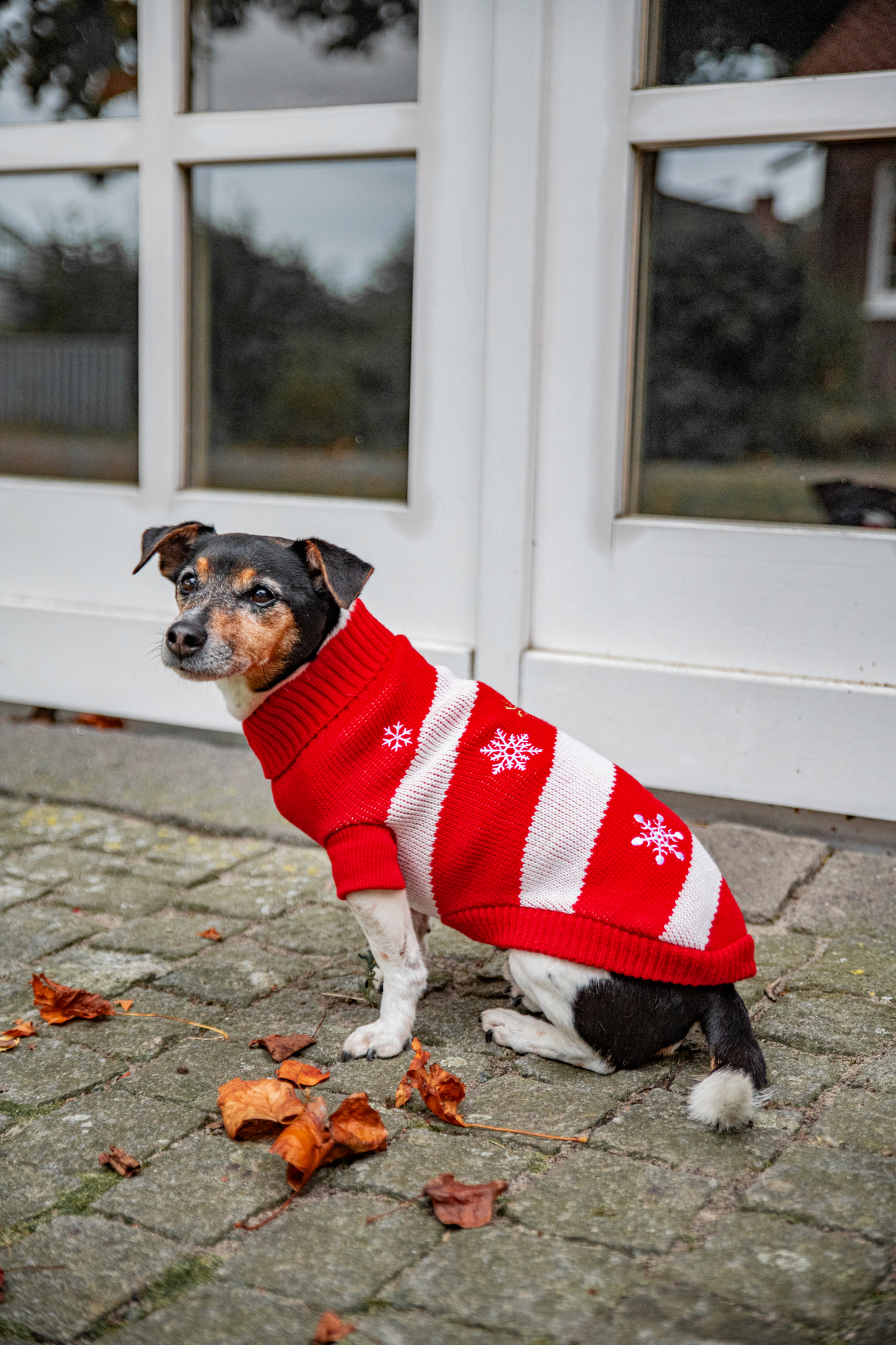 Frosty Knitted Jumper