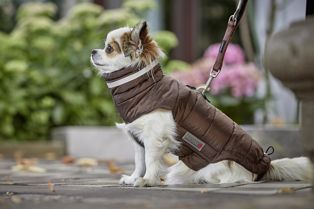 Steppjacke Cosy