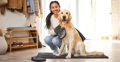 Mit der richtigen Pflege und Fürsorge durch ungemütliche Herbst- und Wintertage