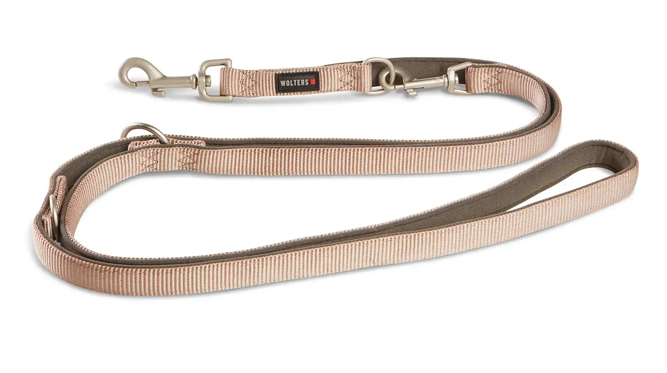 Professional Comfort Guide Leash