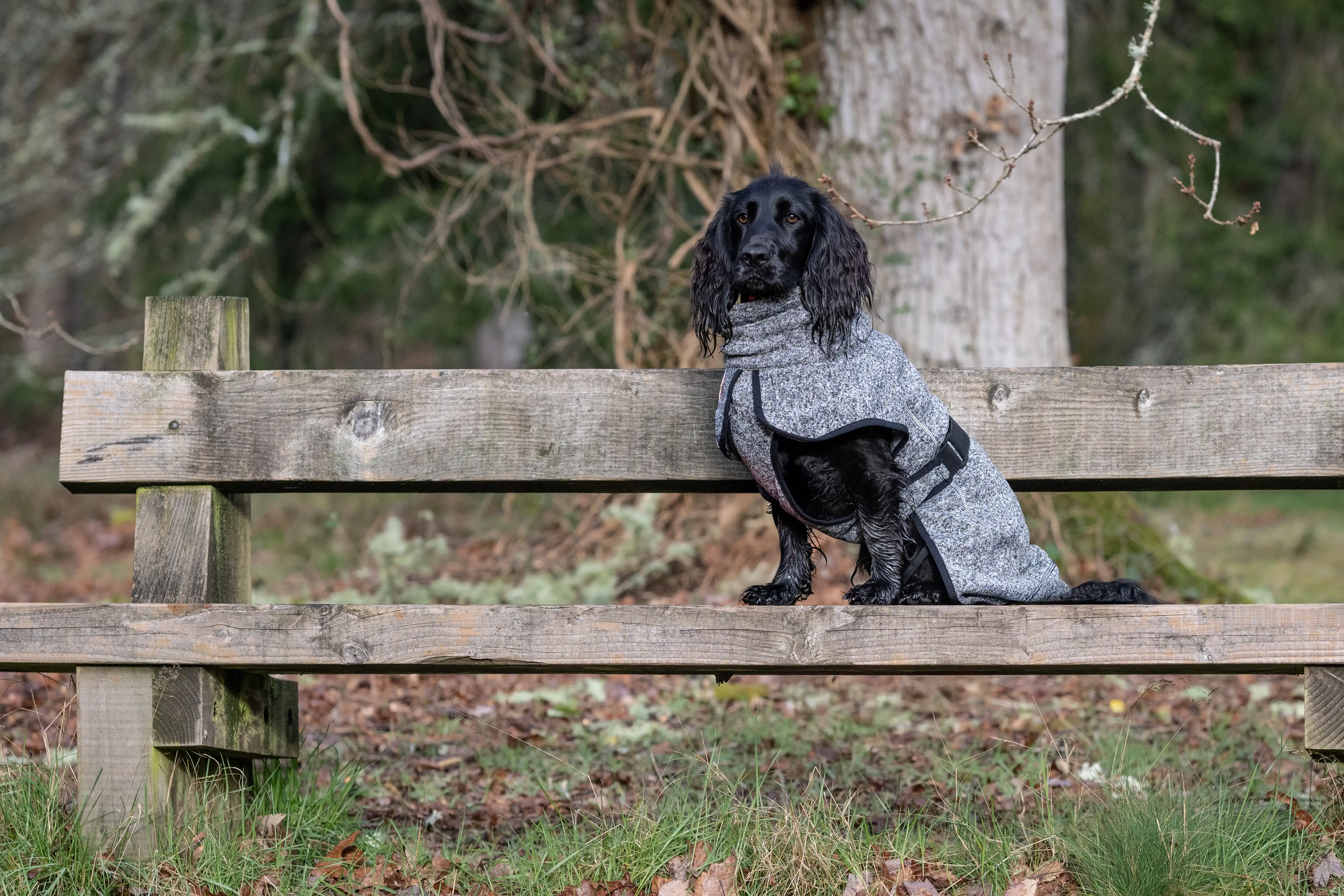 RUKKA Pets Fleece Jacket Comfy