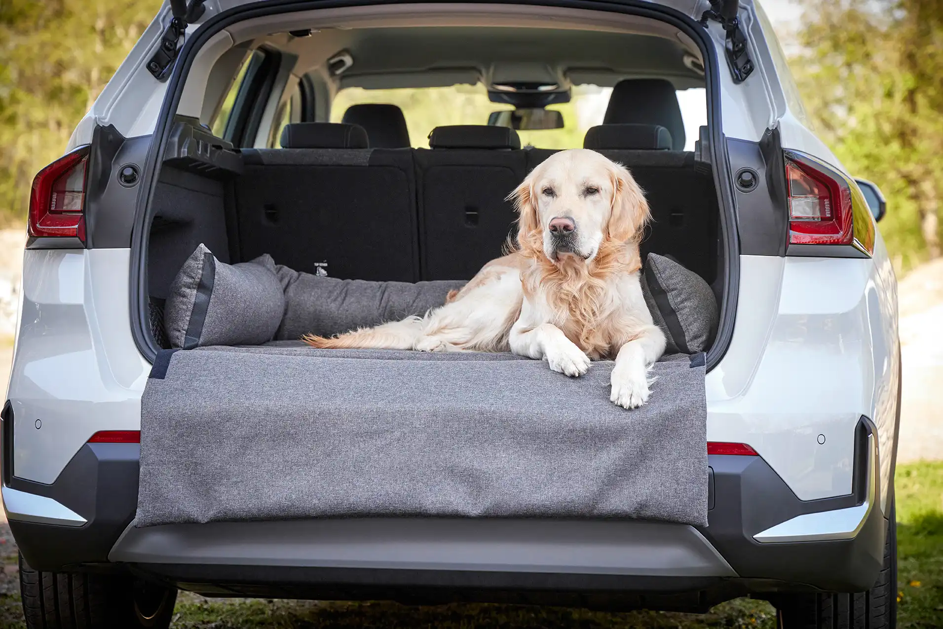 Dog Traveling Trunk Bed