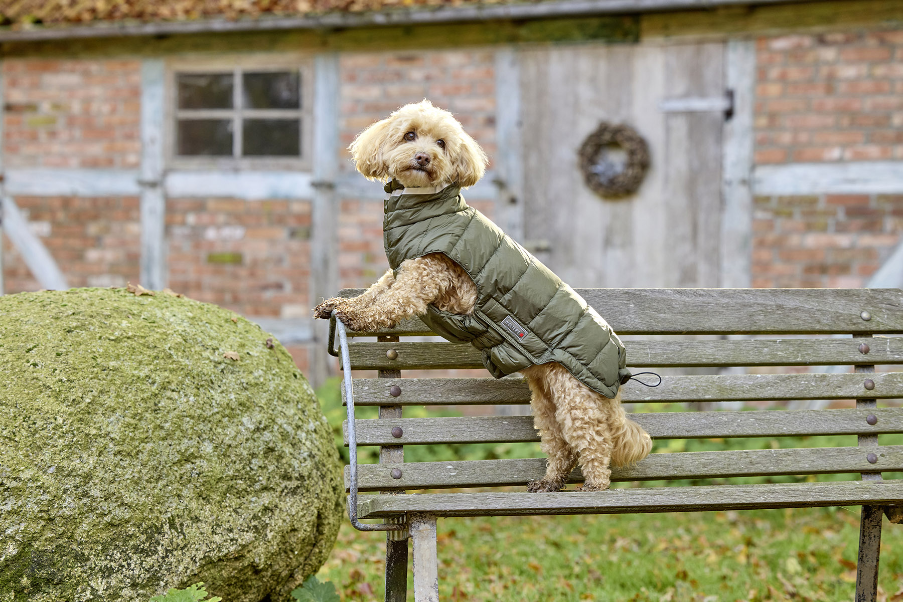 Steppjacke Cosy