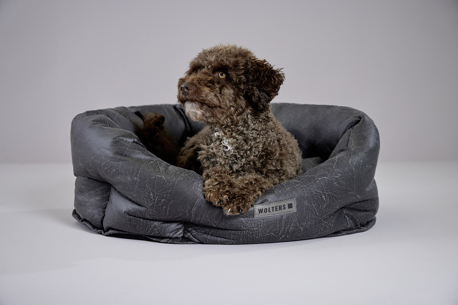 Vintage dog basket