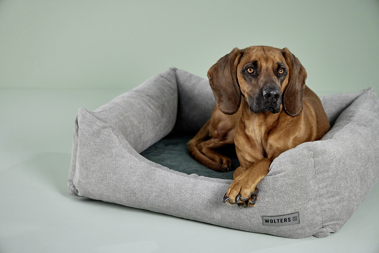 Tierbedarf WOLTERS cat & dog GmbH