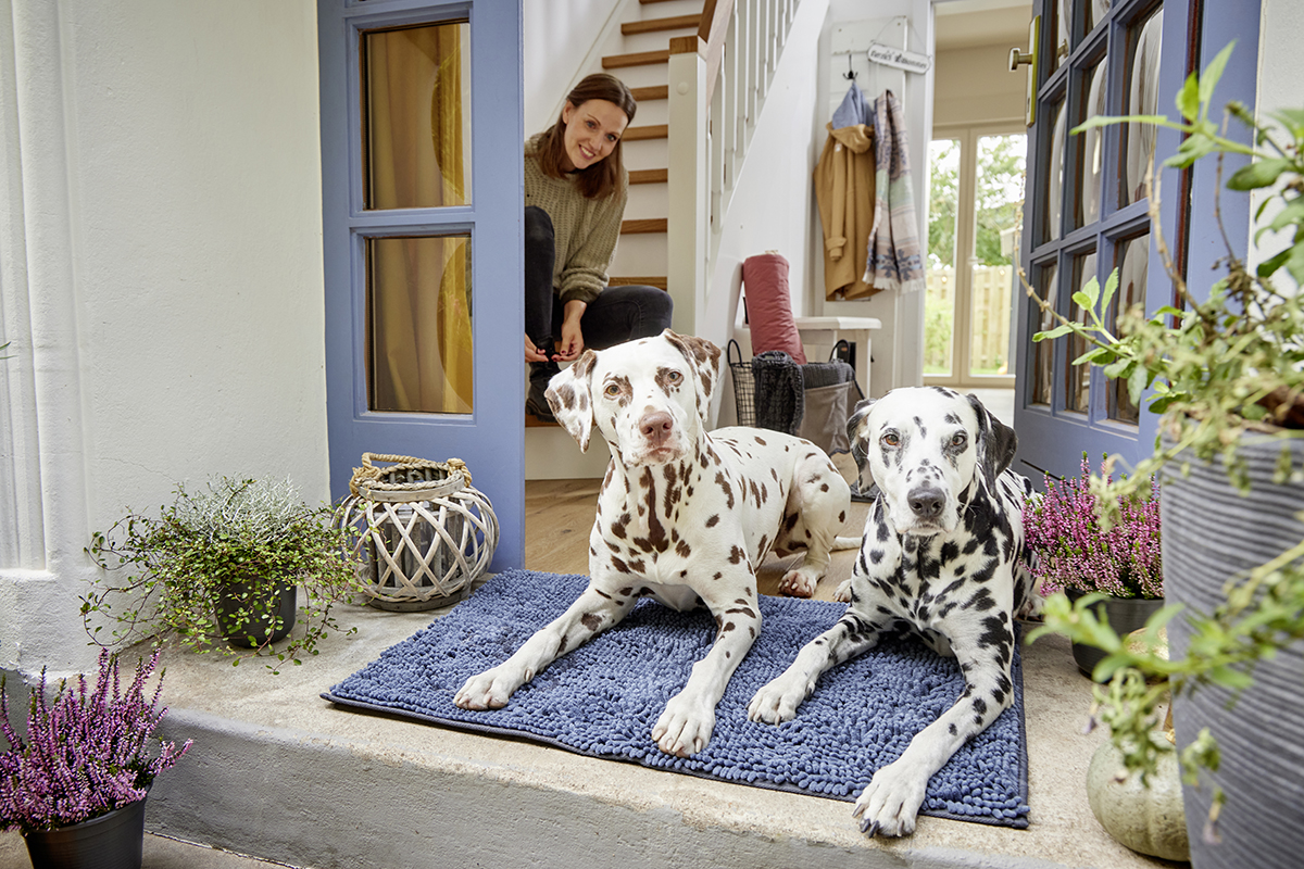  WOLTERS cat & dog GmbH