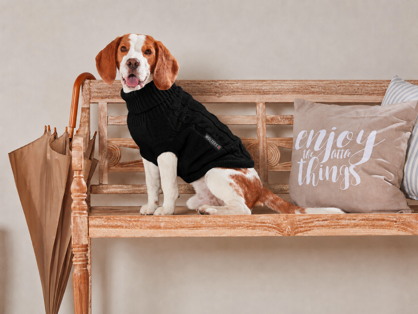  WOLTERS cat & dog GmbH