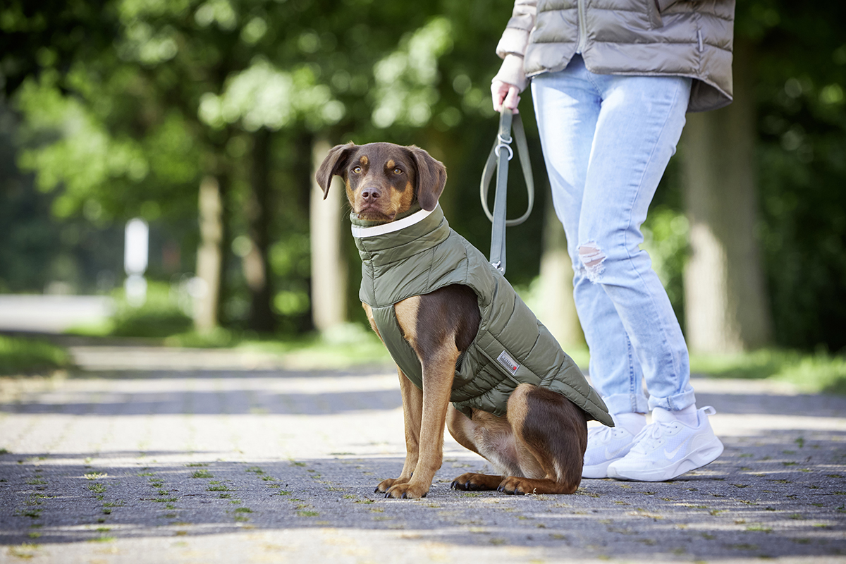 Steppjacke Cosy