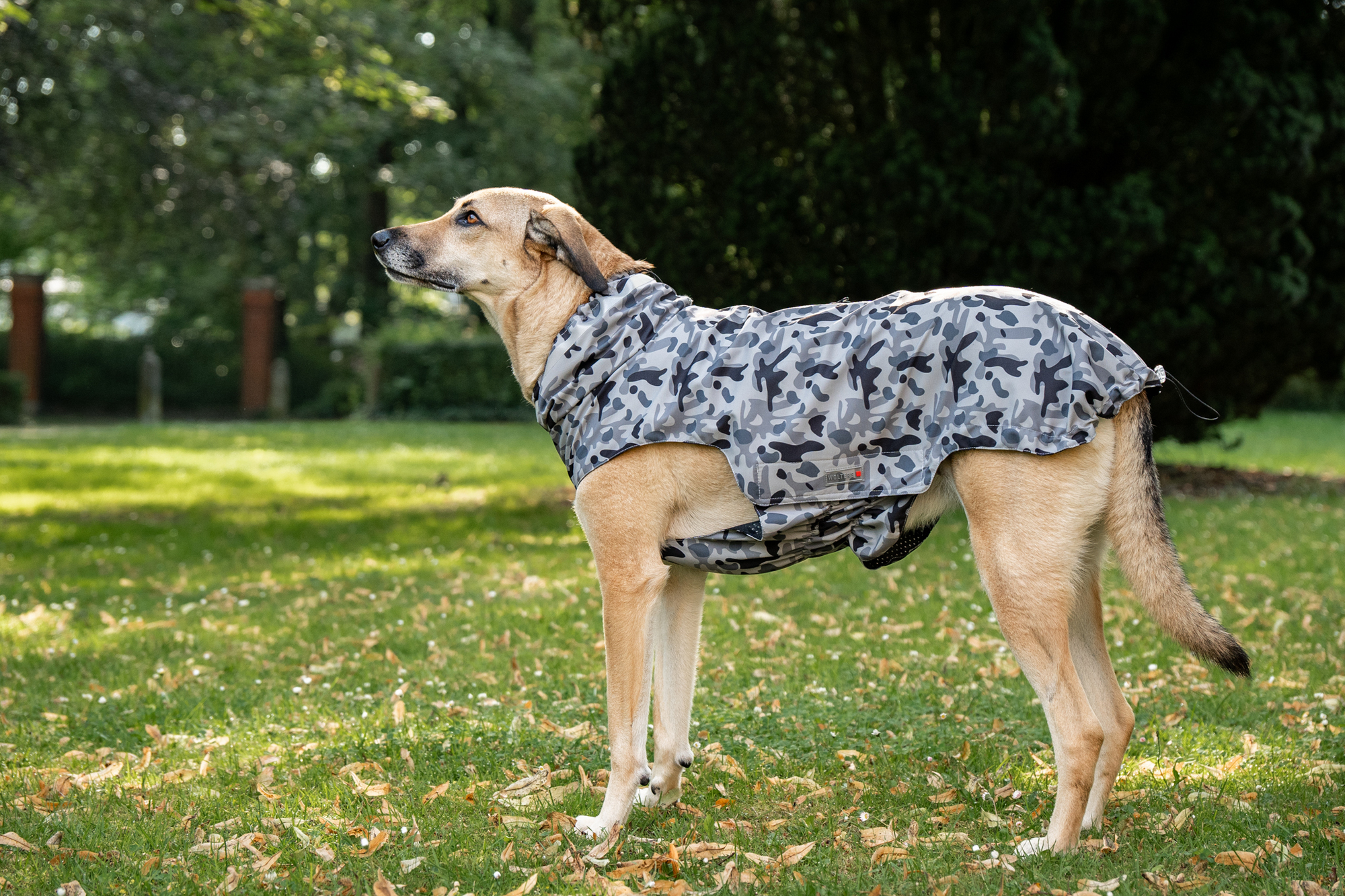 Camouflage Rain Jacket