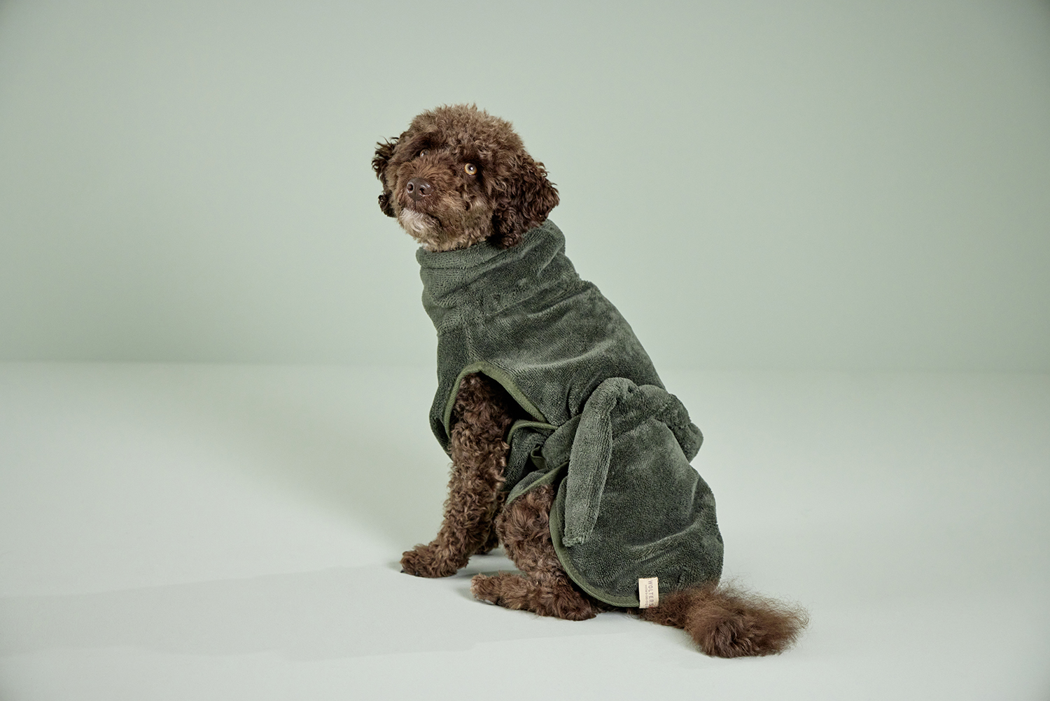 Easy Clean dog drying coat
