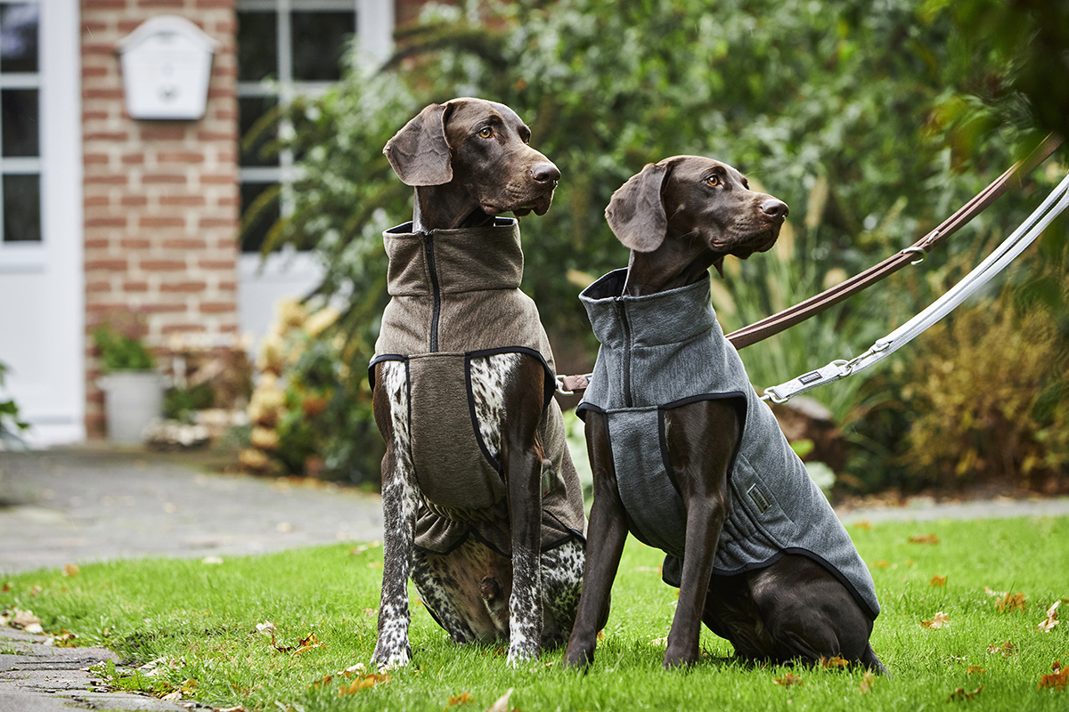  WOLTERS cat & dog GmbH
