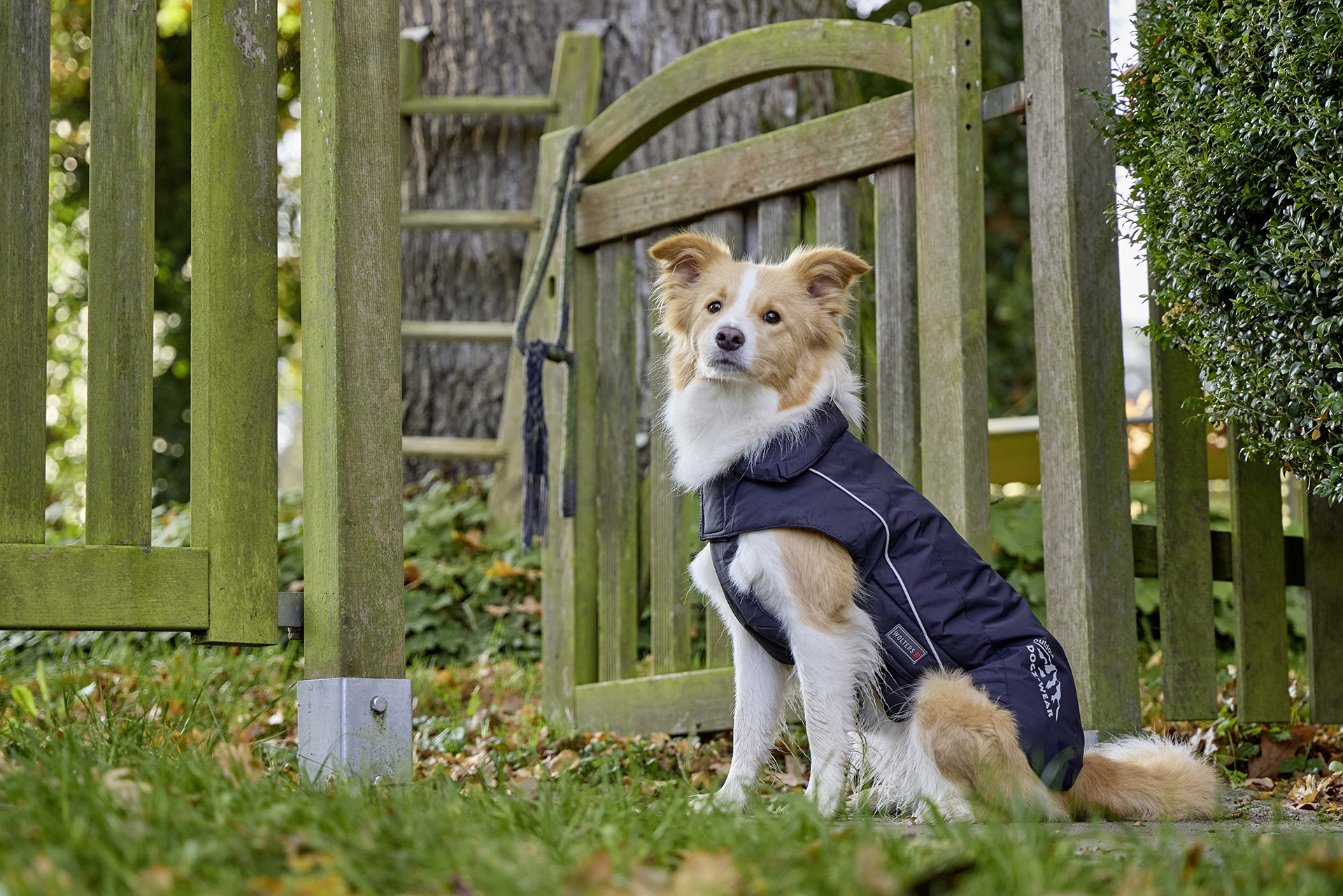 Dogz-Wear Ski Jacket