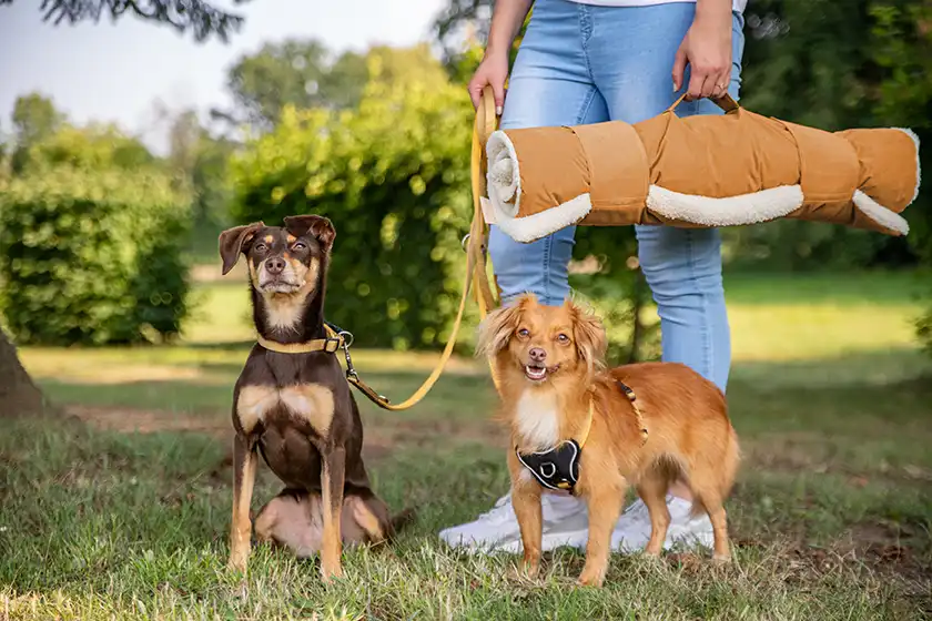 Vagabund Reisedecke klein