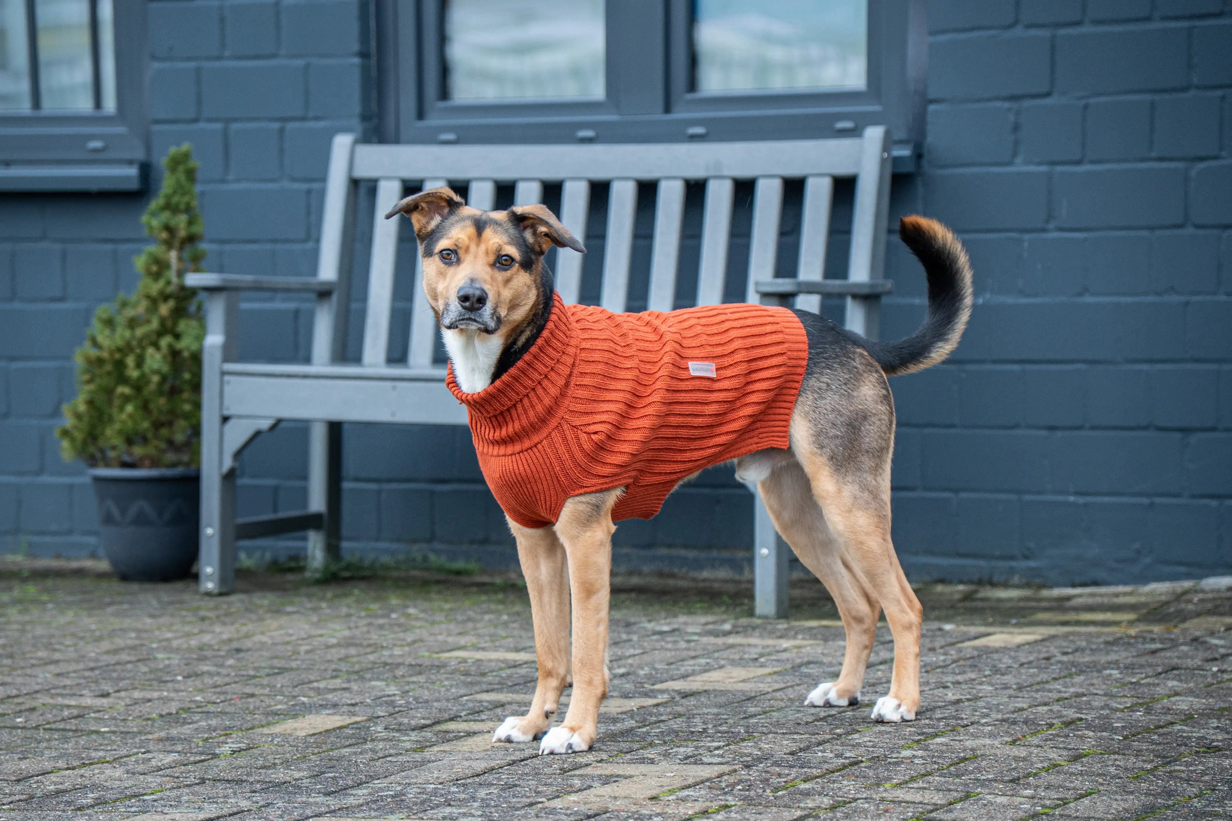 Strickpullover Ribsty