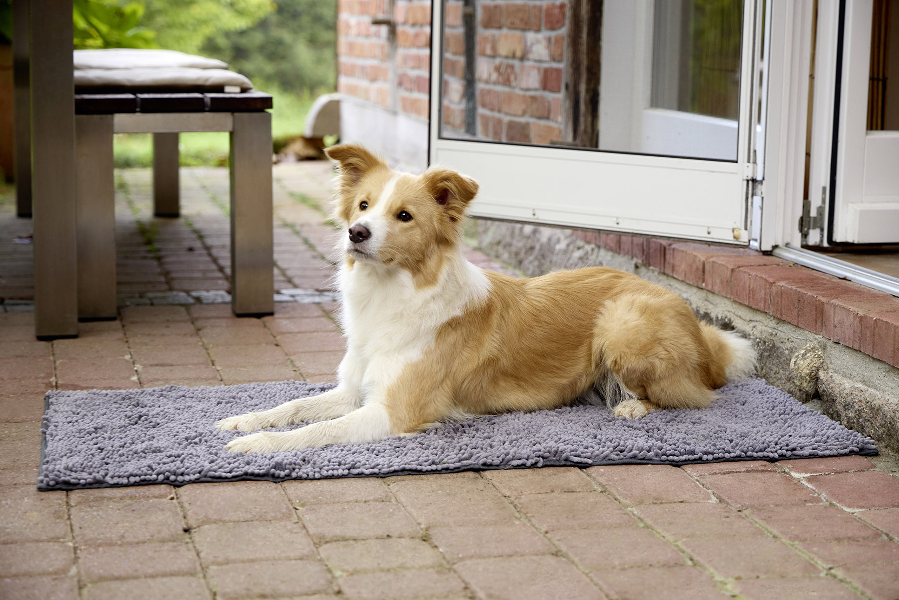  WOLTERS cat & dog GmbH