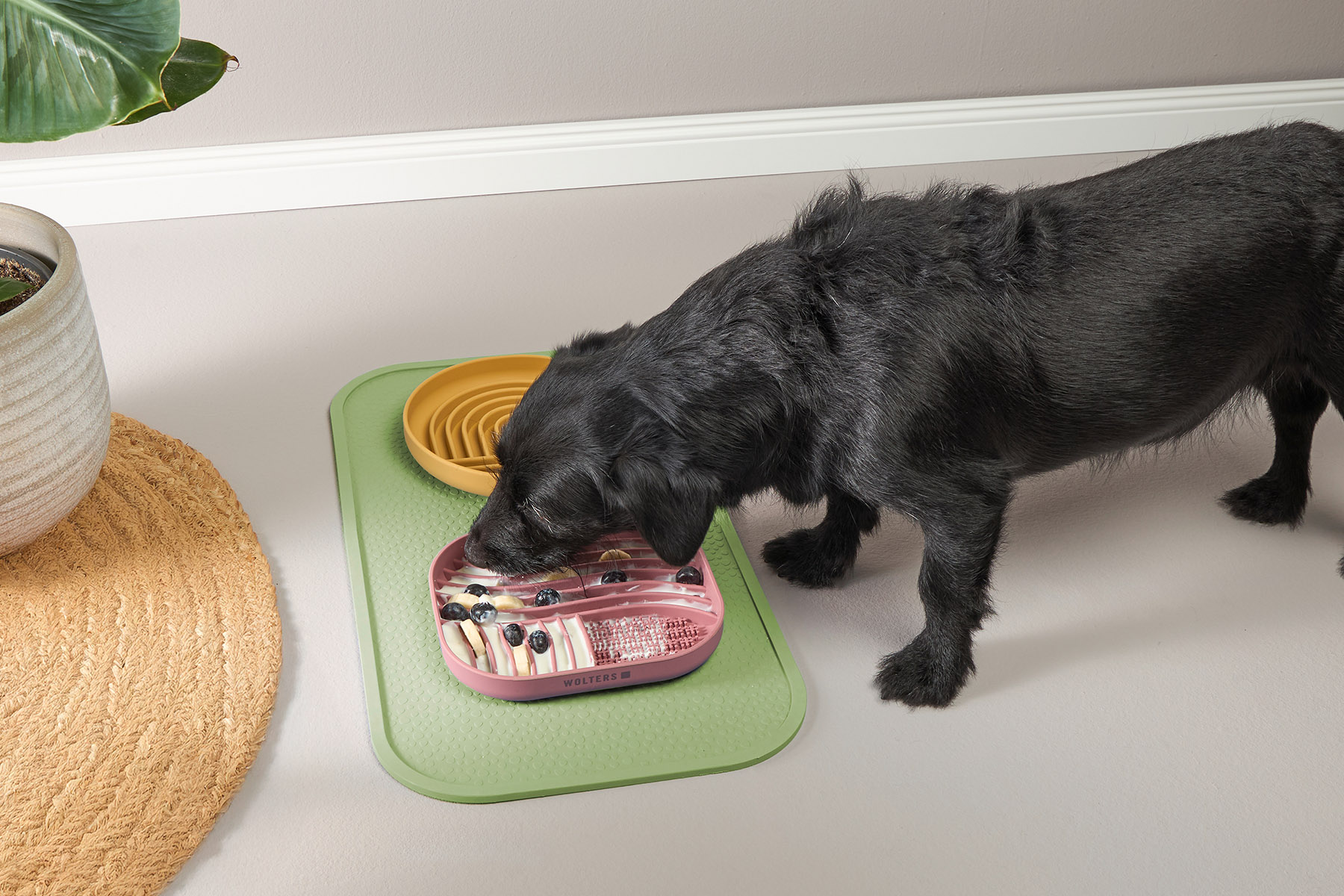 Tierbedarf WOLTERS cat & dog GmbH
