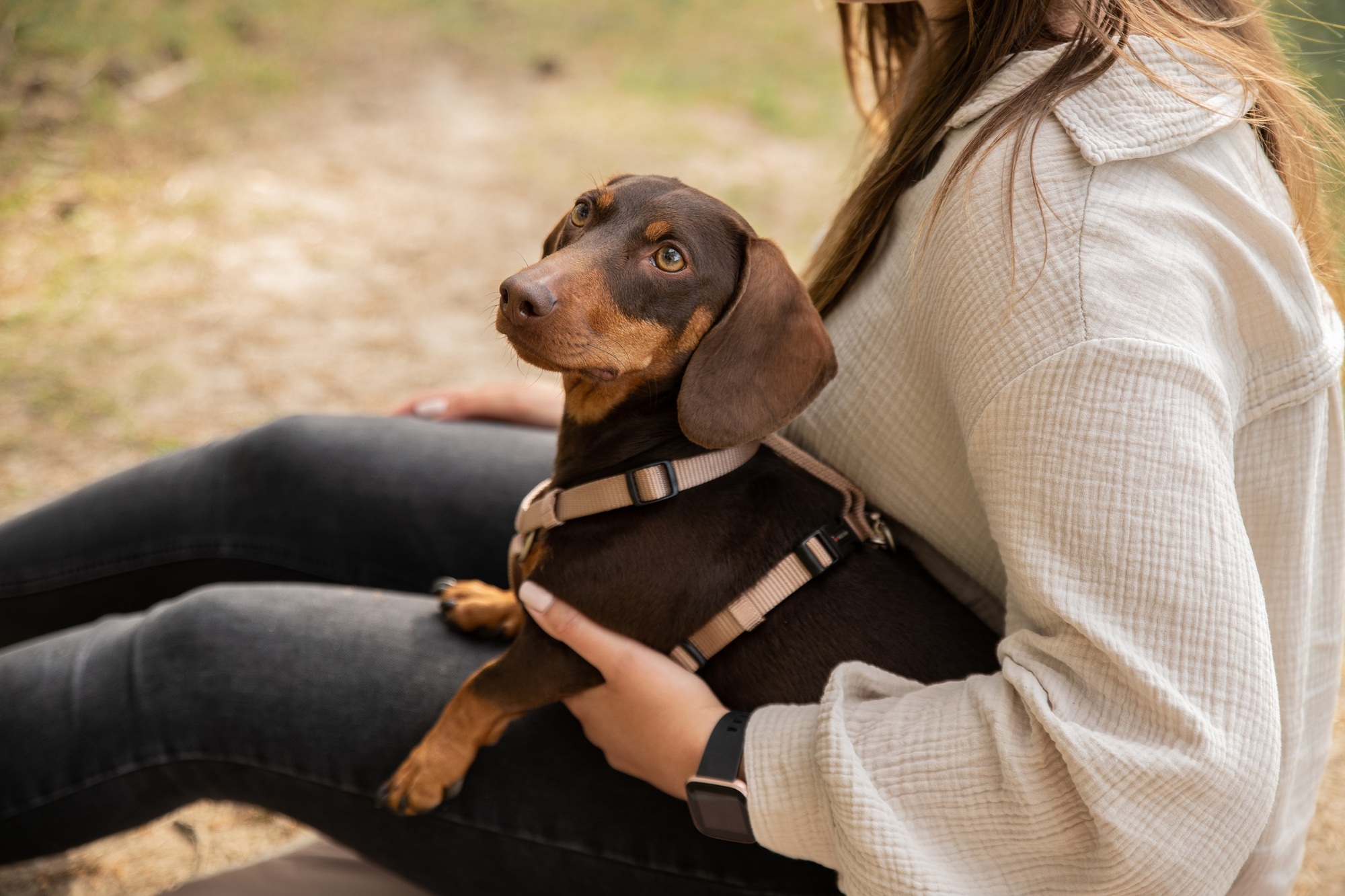 Professional Harness