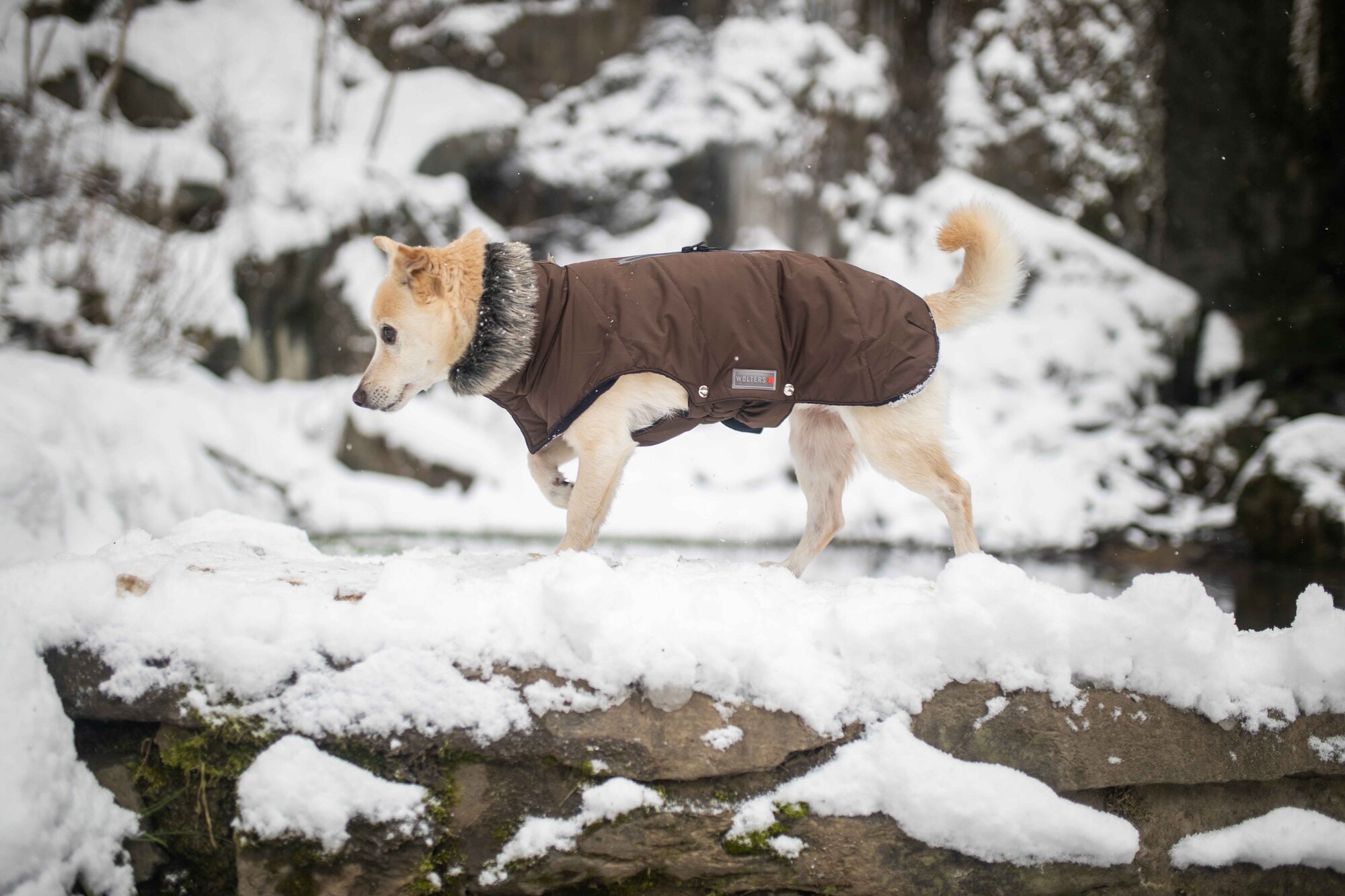 Winterjacke Parka