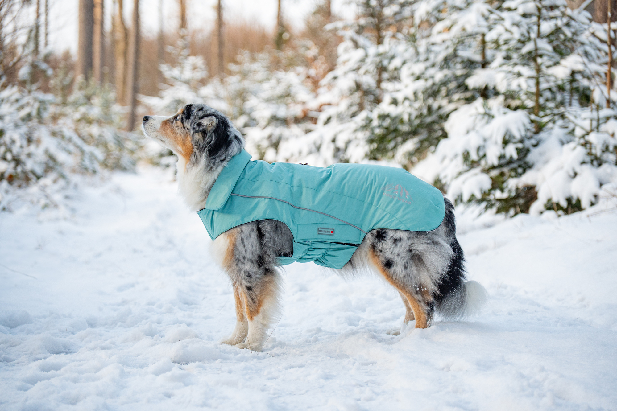 Dogz-Wear Ski Jacket