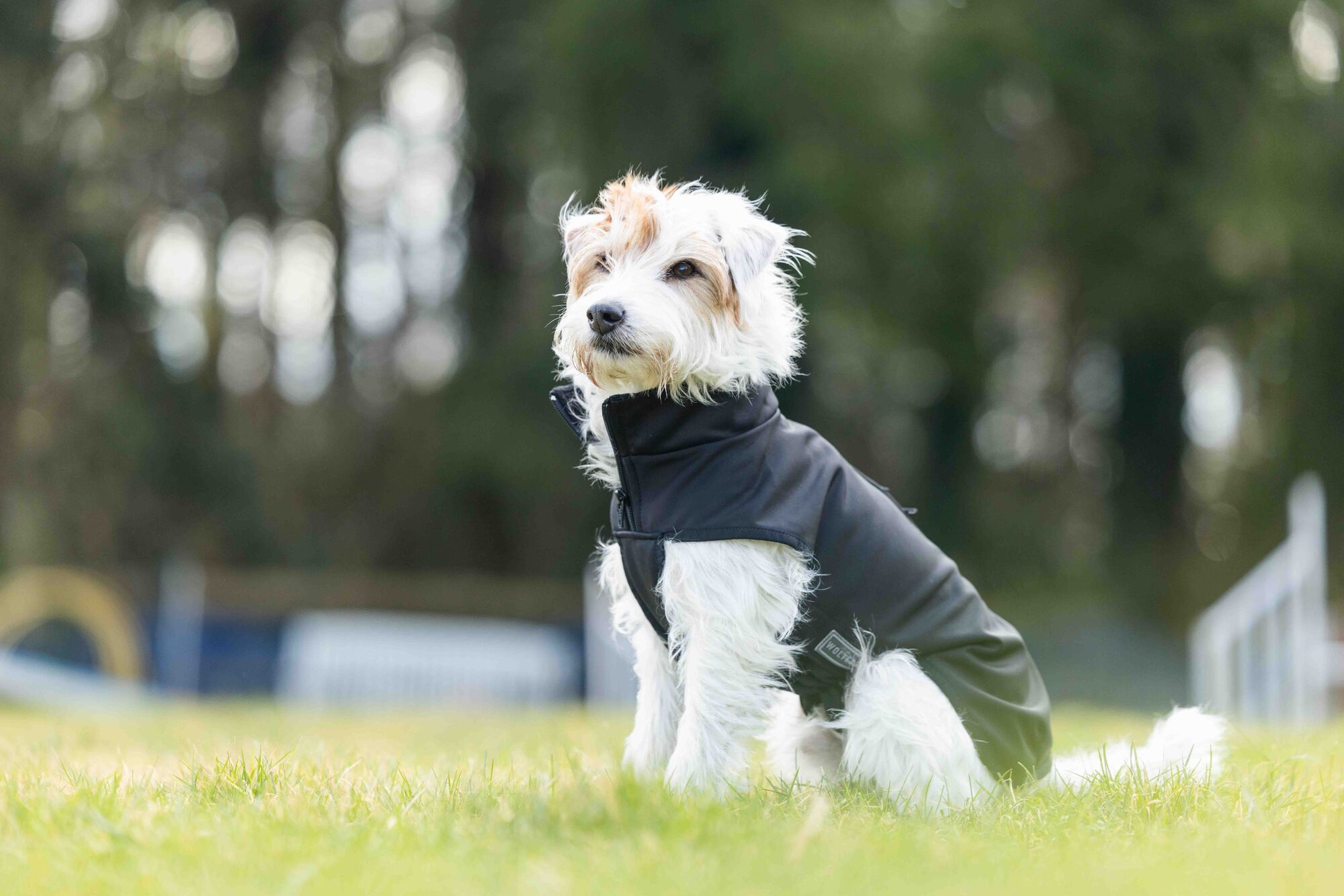 Casual Softshell Jacket