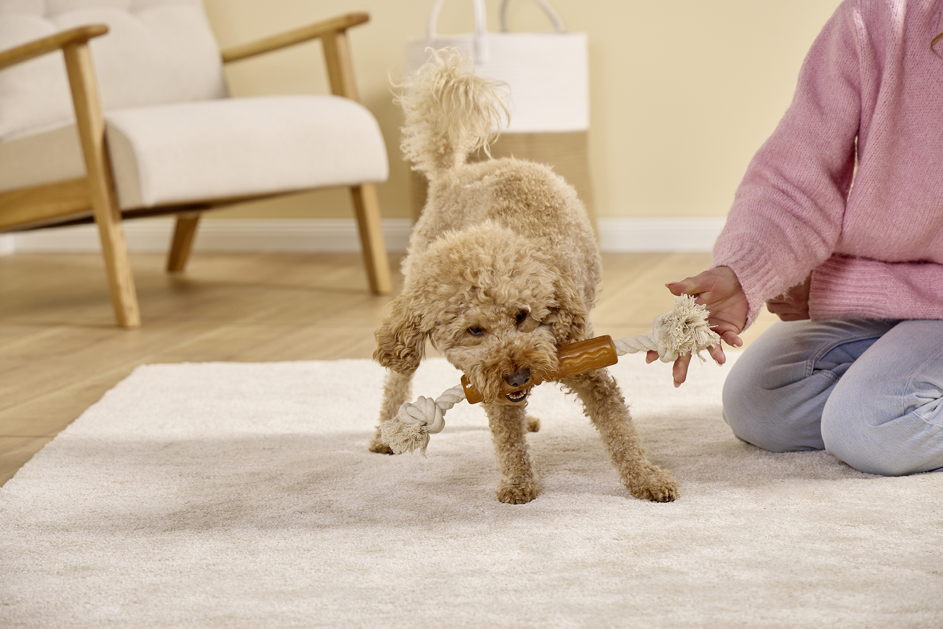 Pure Nature Flosser Fetch & Tug Toy on a Rope