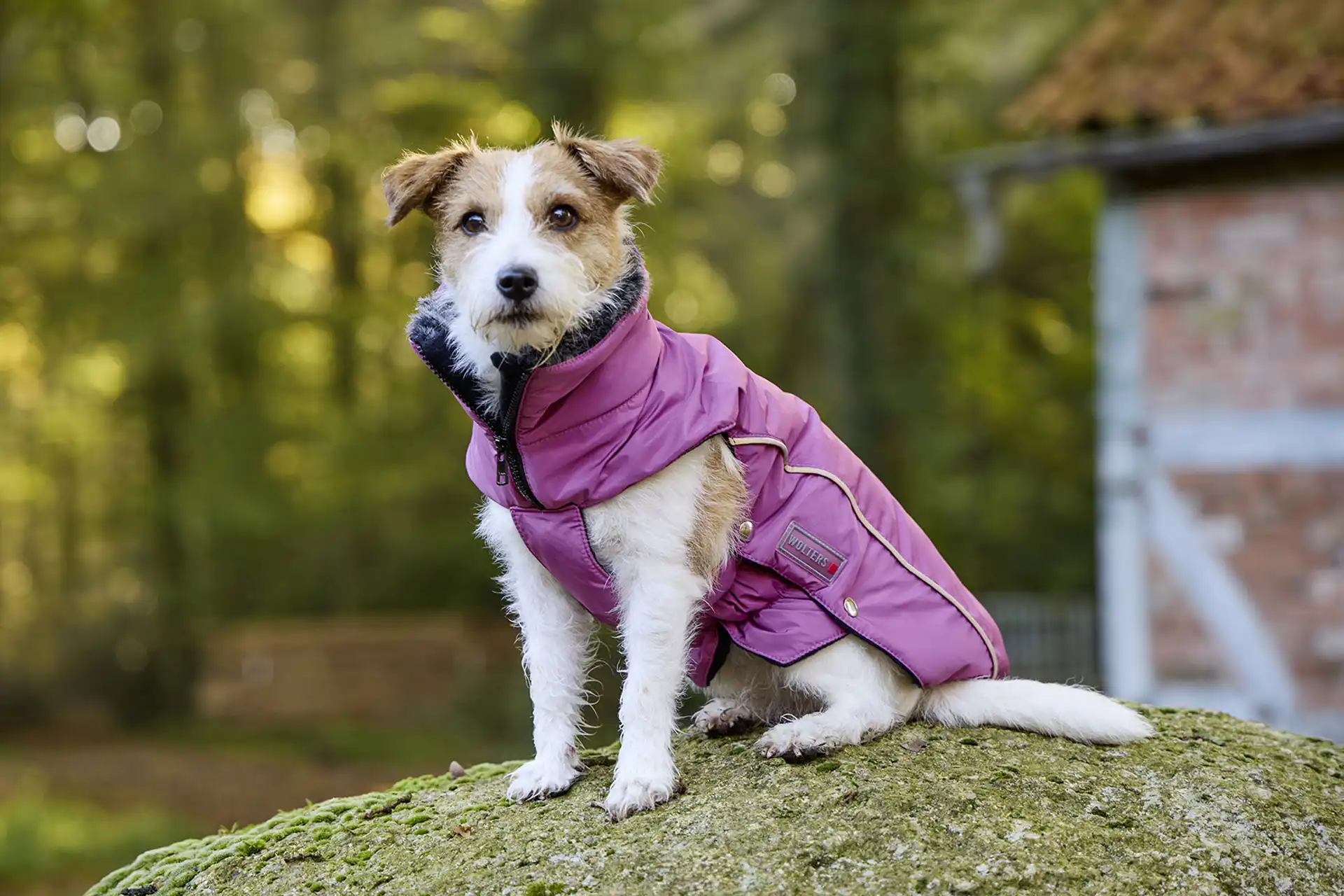 Winterjacke Amundsen