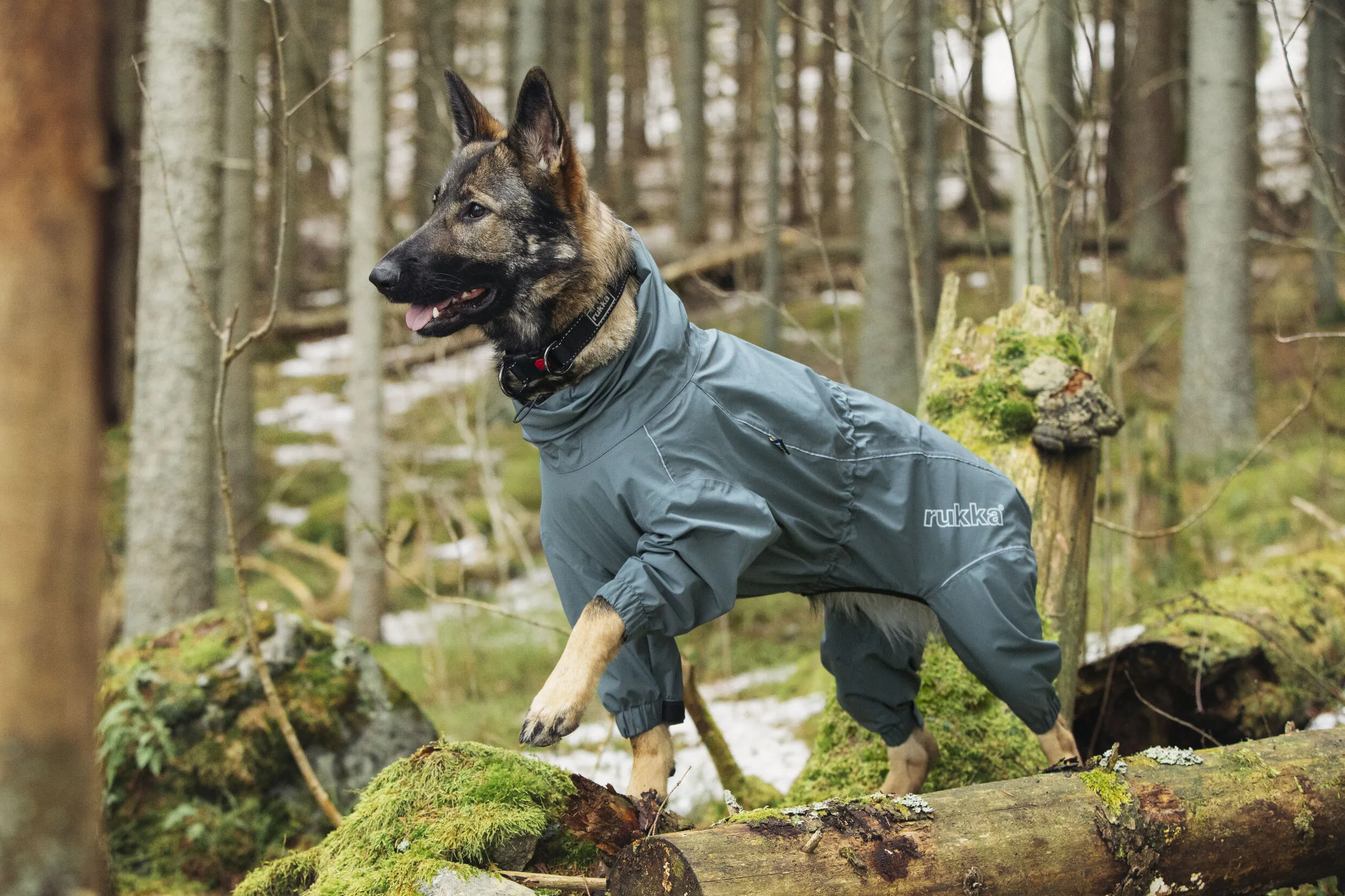 Rukka Pets Overall Protect WOLTERS cat & dog GmbH